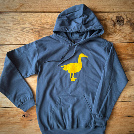 Blue Hoodie